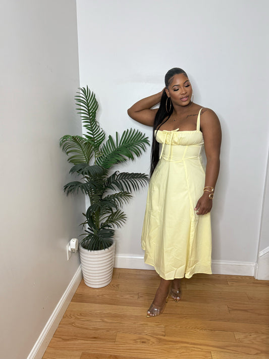 Don't Mention It Dress ship
