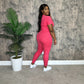 On The Go Set (Fuchsia)